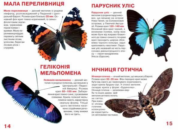 Книга "Велика книга. Метелики" (у) (4549) 4