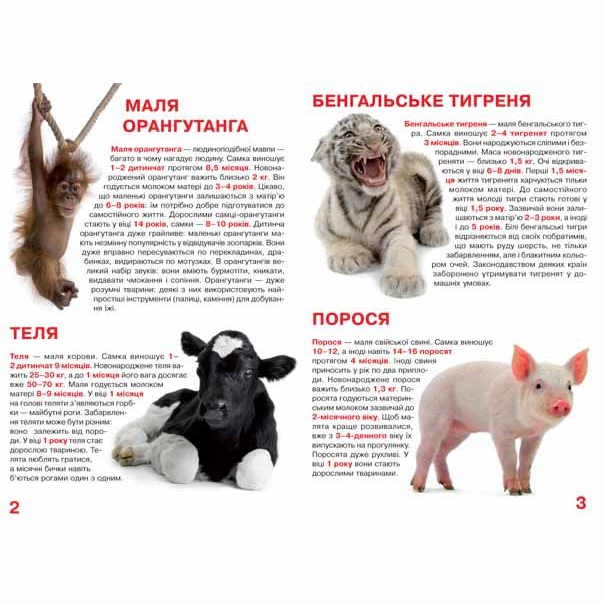 Книга "Велика книга. Малята тварин" (у) (7735) 2