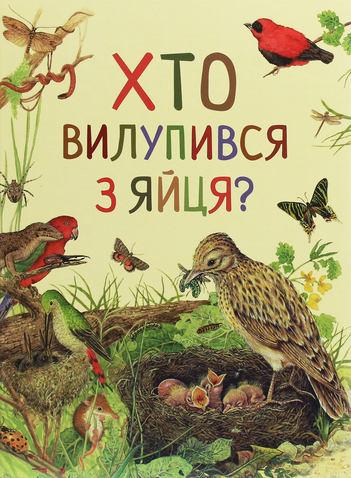 Книга "Ренне. Хто вилупився з яйця? Дивовижний світ тварин" (у), 121099 (0584)