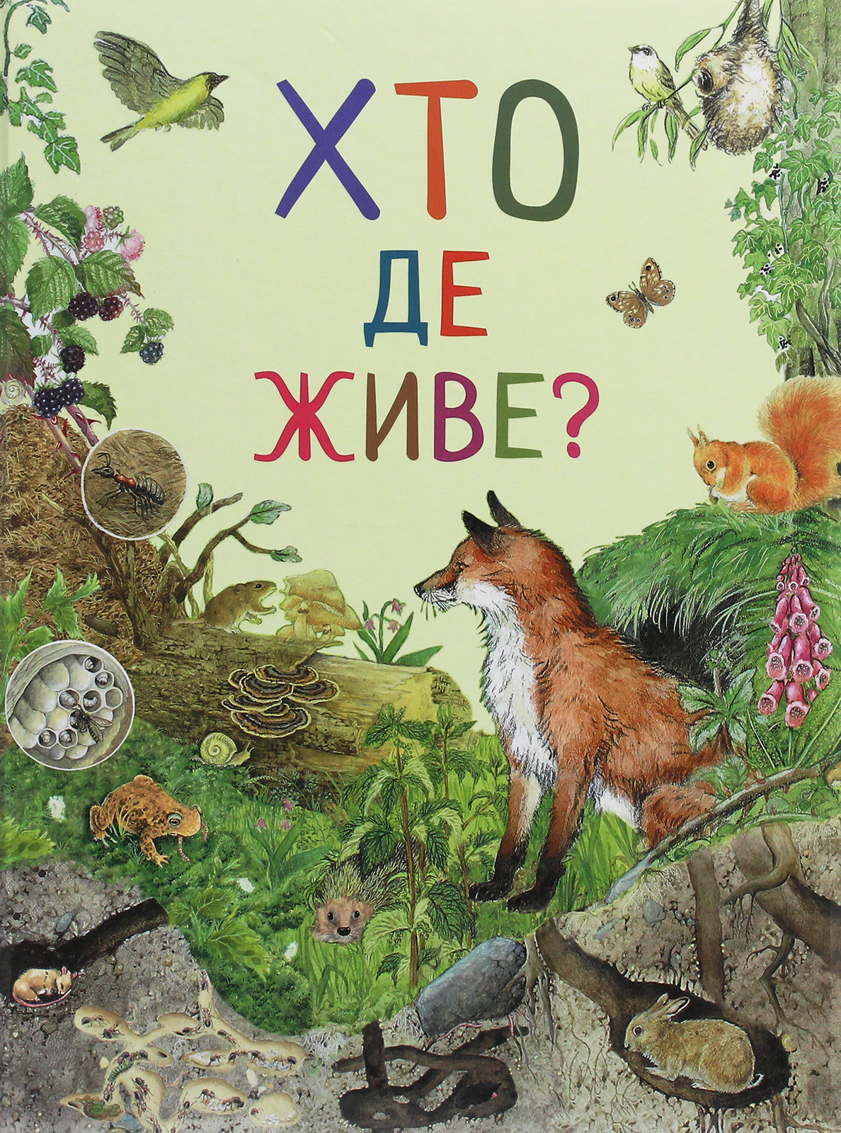 Книга "Ренне. Хто де живе? Дивовижний світ тварин" (у), 121097 (0560)