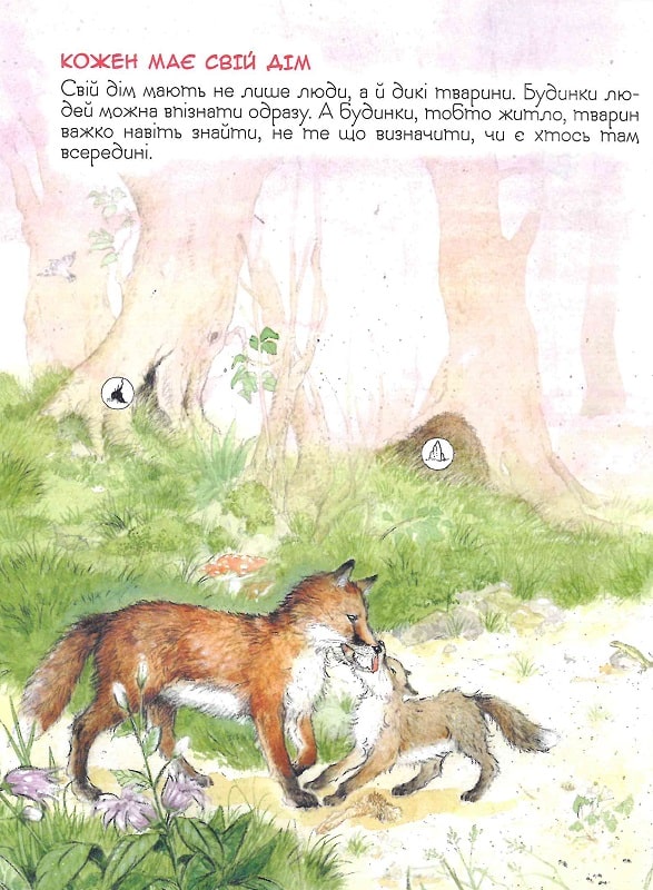Книга "Ренне. Хто де живе? Дивовижний світ тварин" (у), 121097 (0560) 6