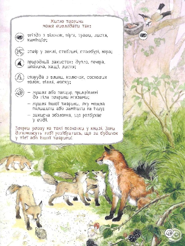 Книга "Ренне. Хто де живе? Дивовижний світ тварин" (у), 121097 (0560) 7