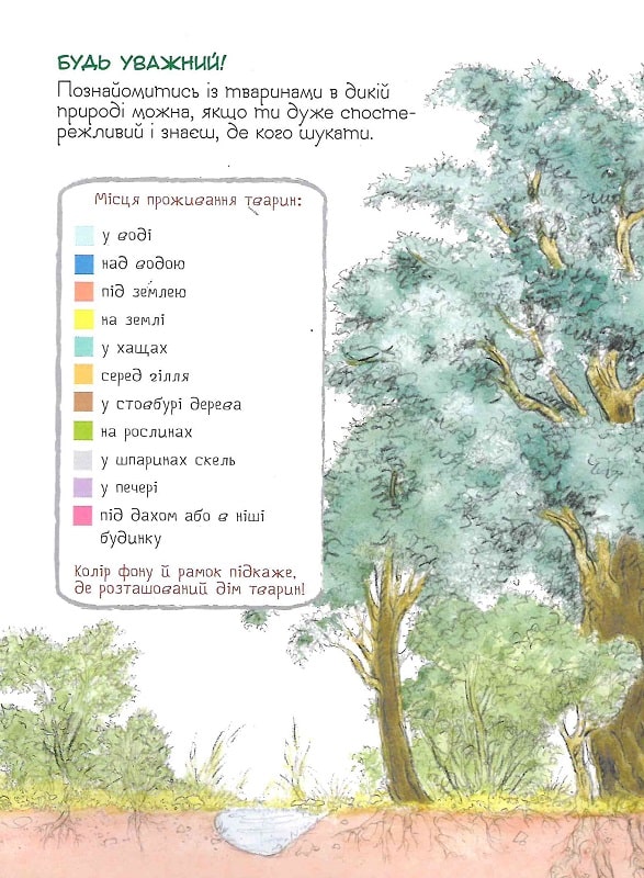 Книга "Ренне. Хто де живе? Дивовижний світ тварин" (у), 121097 (0560) 8