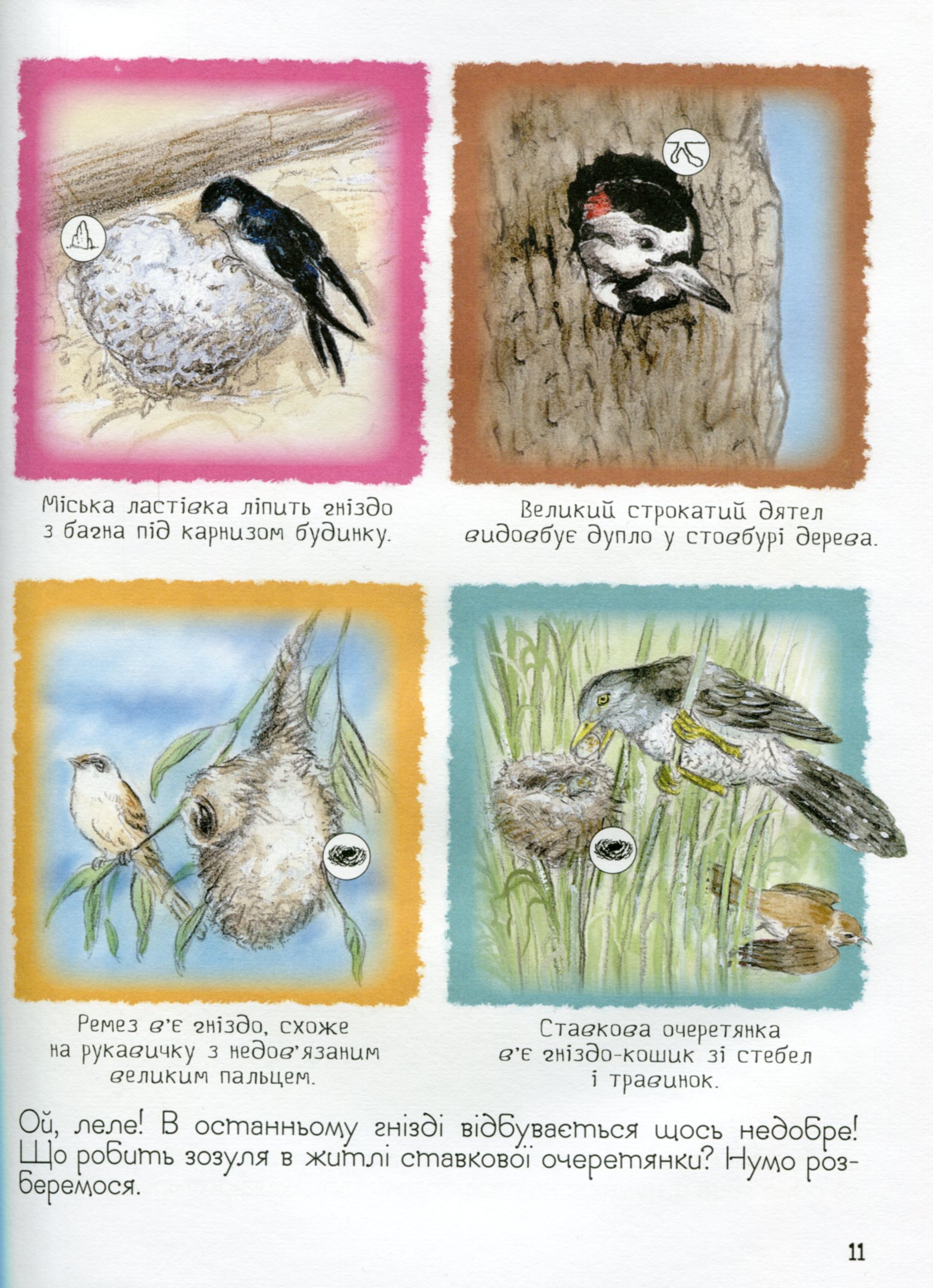 Книга "Ренне. Хто де живе? Дивовижний світ тварин" (у), 121097 (0560) 12