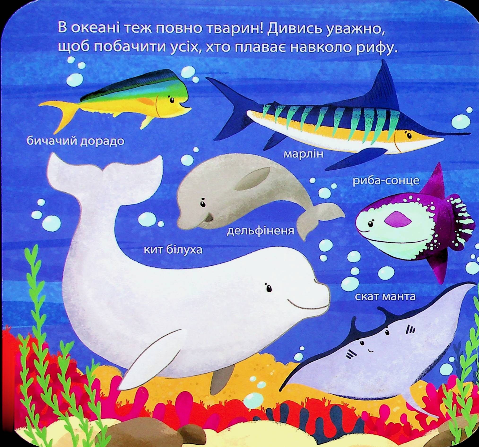 Книга "Ґарнетт Дж. Зазирни у віконечко. Хто живе в зоопарку?" (у) (2826) 11