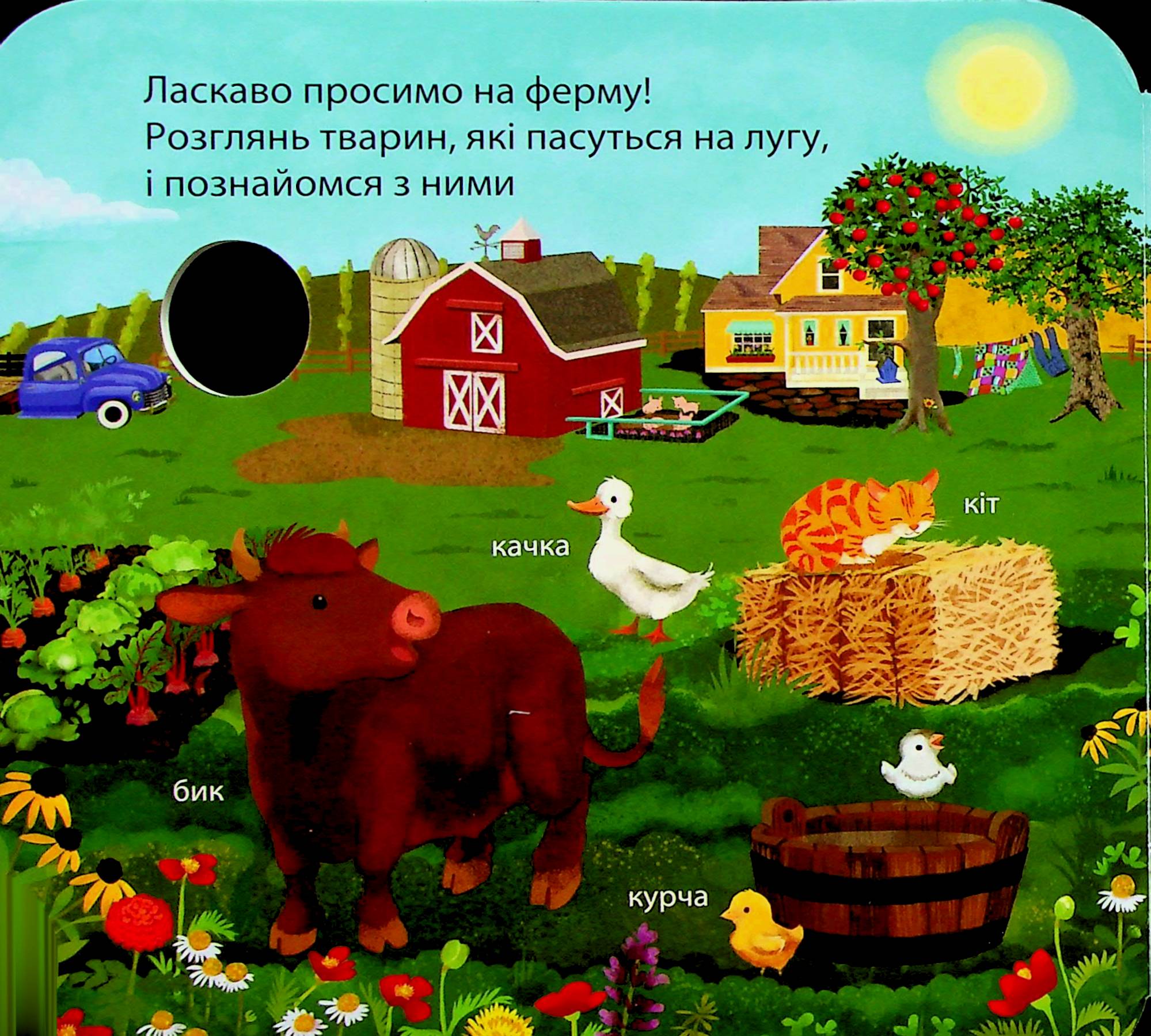 Книга "Гарнетт Дж. Загляни в окошечко. Кто живет на ферме?" (у) (2833) 5