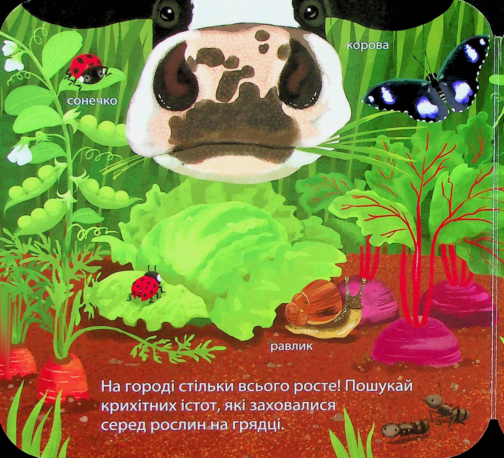 Книга "Гарнетт Дж. Загляни в окошечко. Кто живет на ферме?" (у) (2833) 9