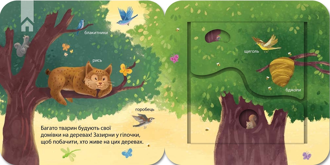 Книга "Гарнетт Дж. Загляни в окошечко. Кто живет в лесу?" (у) (2840) 6