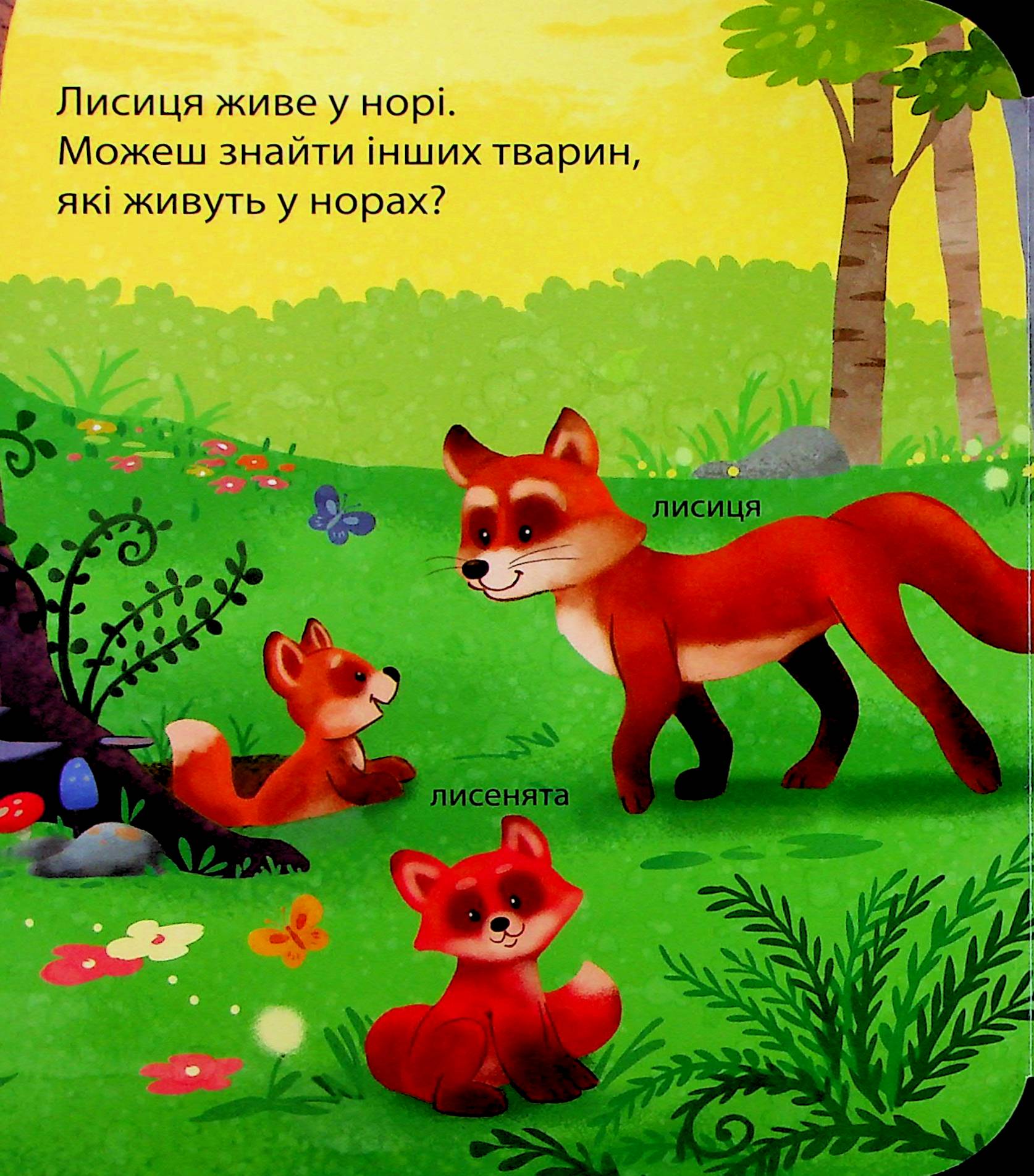 Книга "Гарнетт Дж. Загляни в окошечко. Кто живет в лесу?" (у) (2840) 9