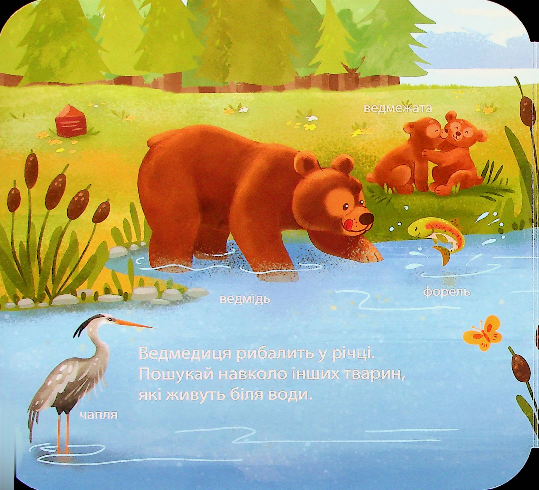 Книга "Гарнетт Дж. Загляни в окошечко. Кто живет в лесу?" (у) (2840) 11