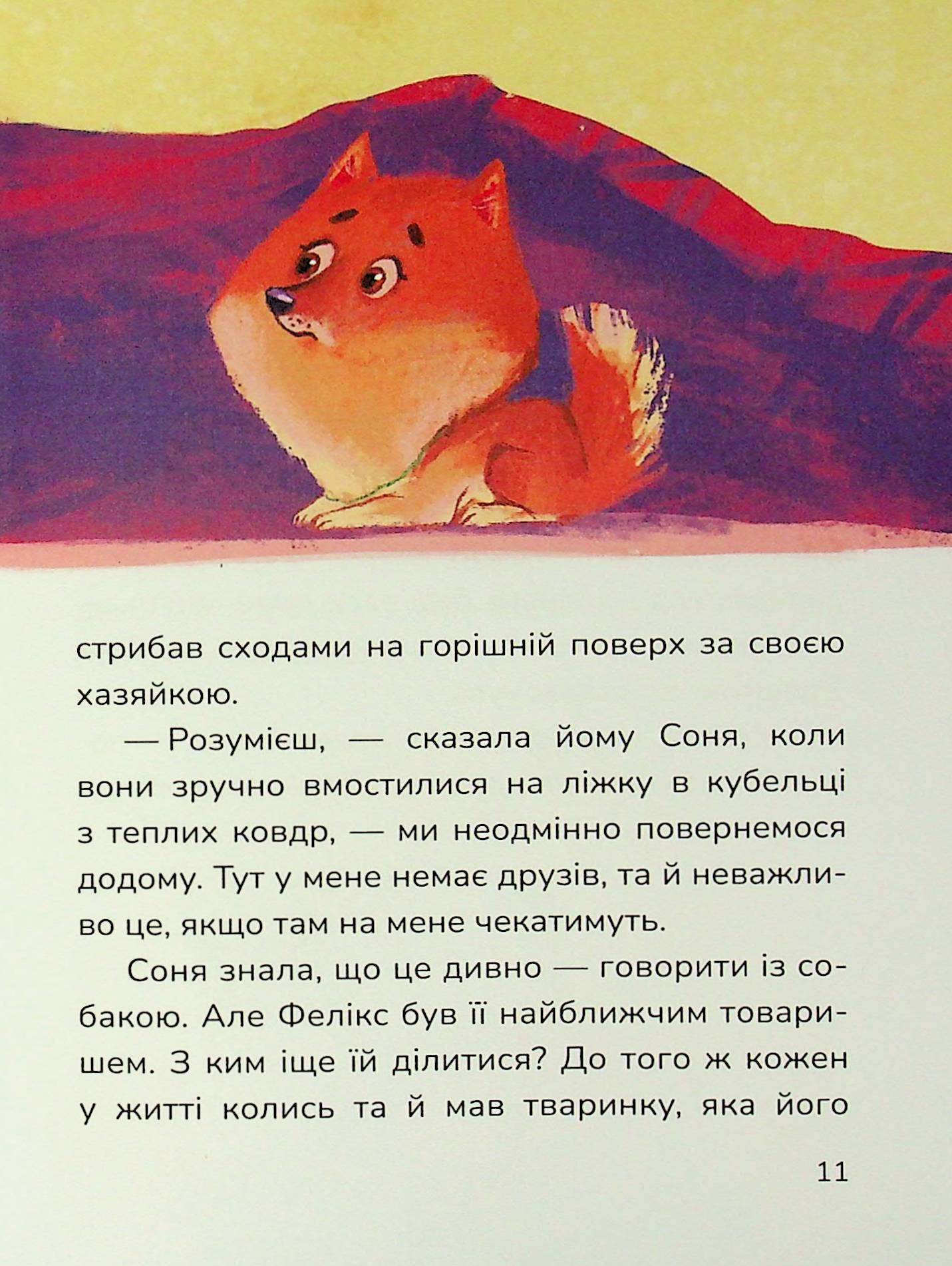 Книга "Книжки дітлахам 5+. Руда Н. Соня шукає друзів" (у) (7409) 12