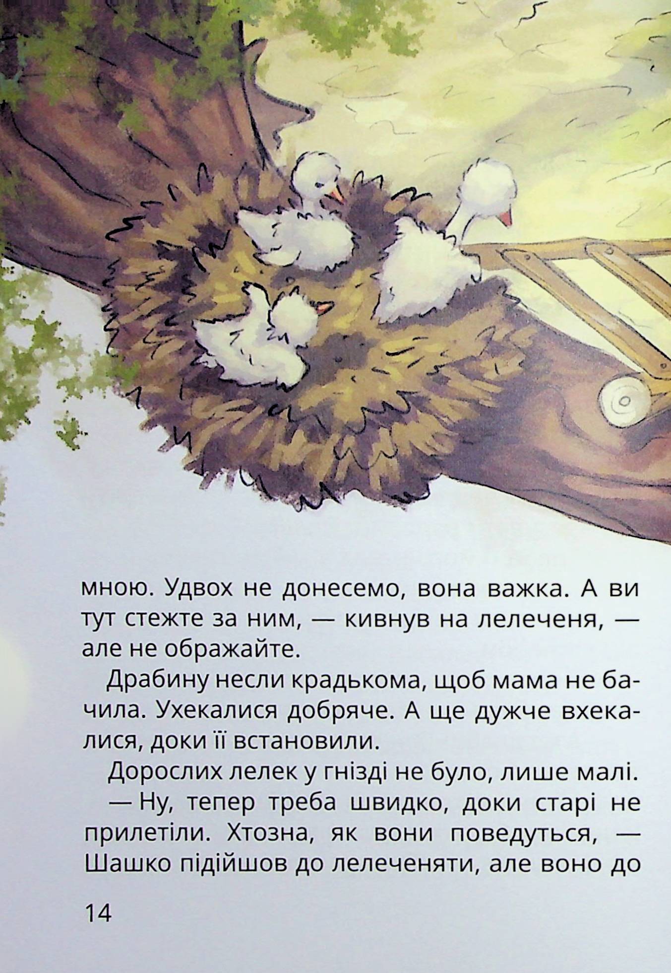 Книга "Книжки дітлахам 5+. Андрусяк І. Нечиста сила та інші капосні історії" (у) (7270) 12