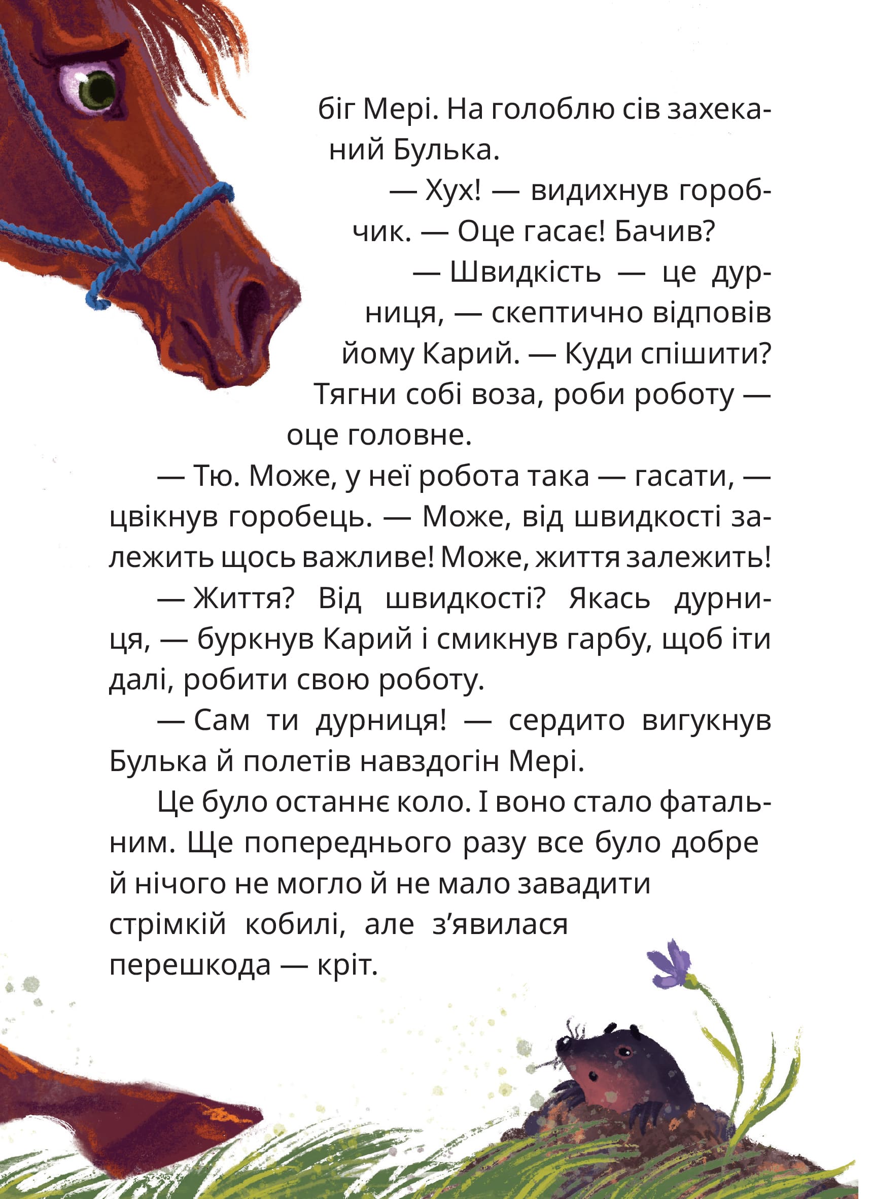 Книга "Книги детям 5+. Дерманский С. Мэри" (у) (7003) 7