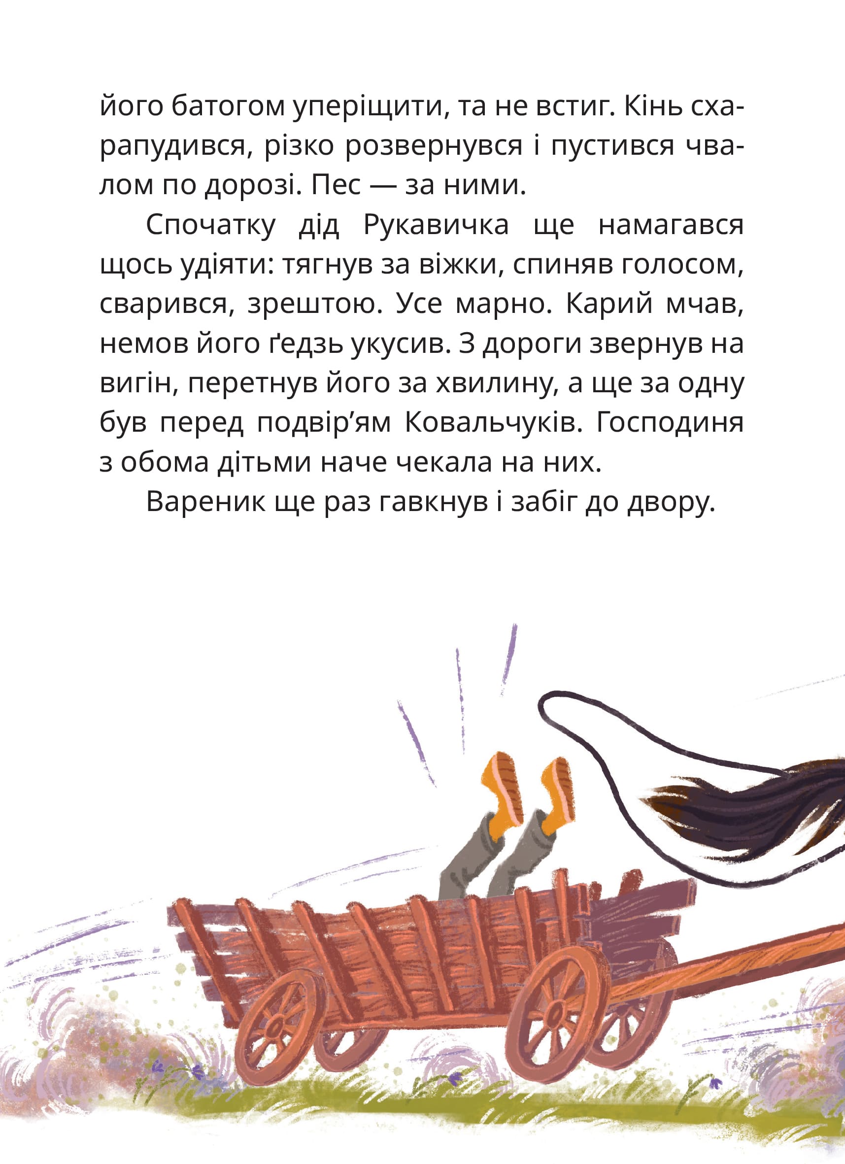 Книга "Книги детям 5+. Дерманский С. Мэри" (у) (7003) 8