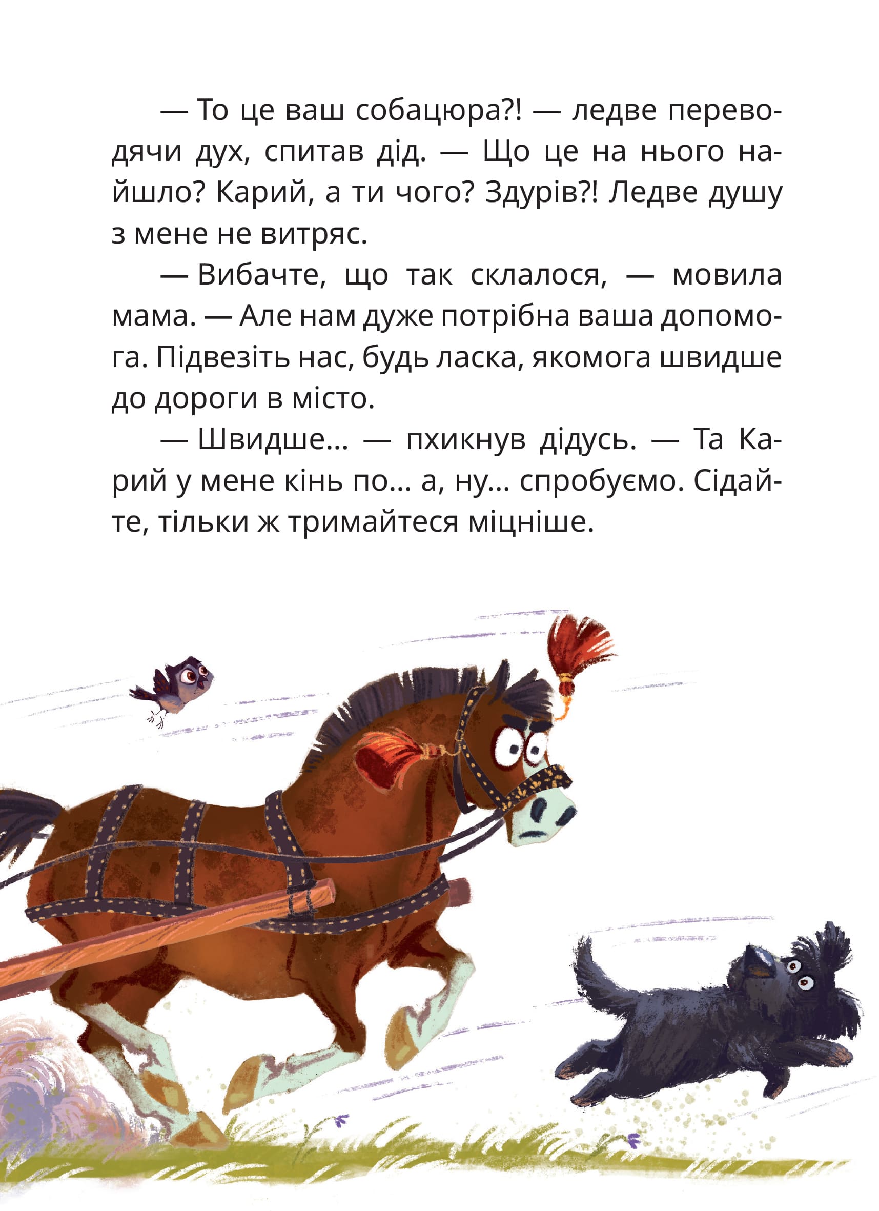 Книга "Книги детям 5+. Дерманский С. Мэри" (у) (7003) 9