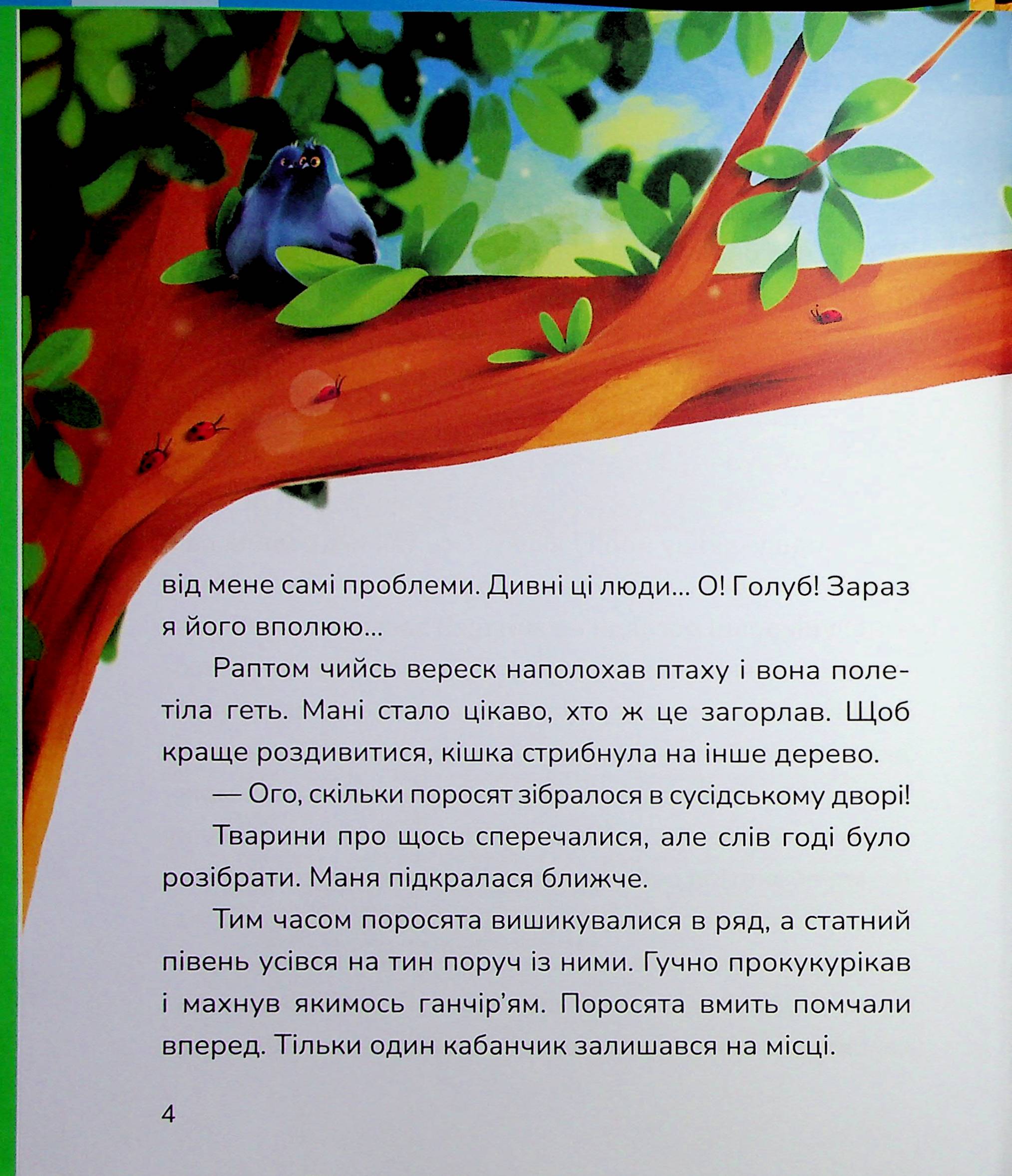 Книга "Казки. Бурянчик Н. Маня і Кабаня" (у) (7249) 3