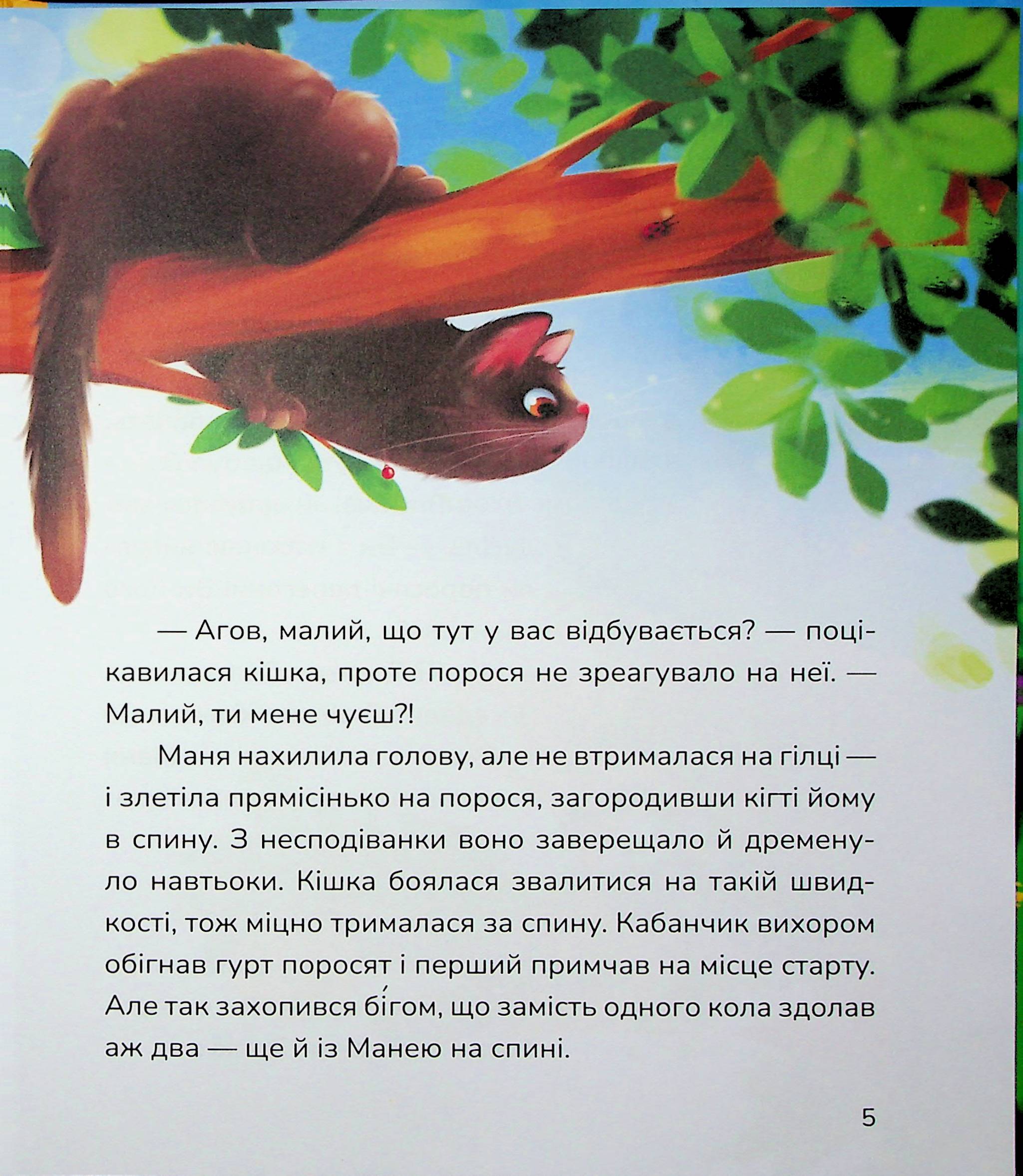 Книга "Казки. Бурянчик Н. Маня і Кабаня" (у) (7249) 4