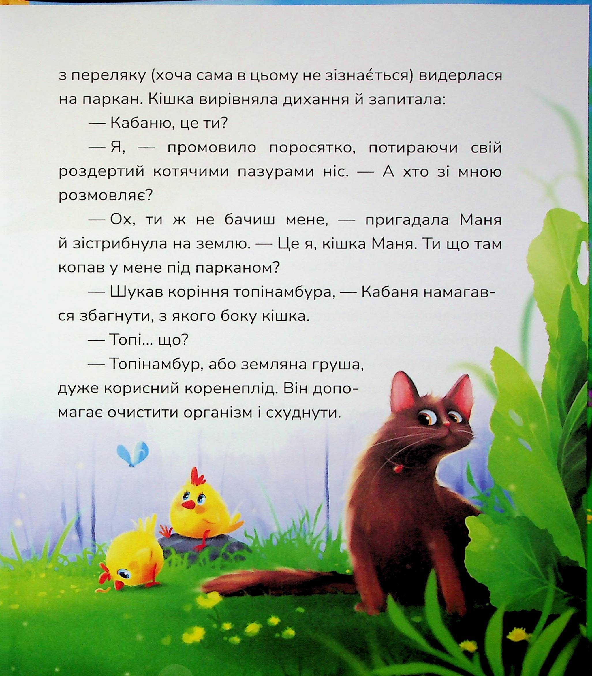 Книга "Казки. Бурянчик Н. Маня і Кабаня" (у) (7249) 10