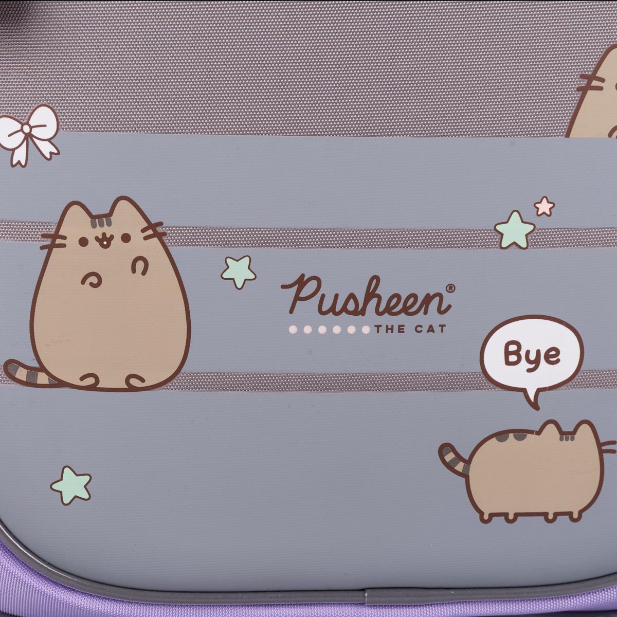 Рюкзак школьный полукаркасный YES S-109 "Pusheen Playful", 559880 13