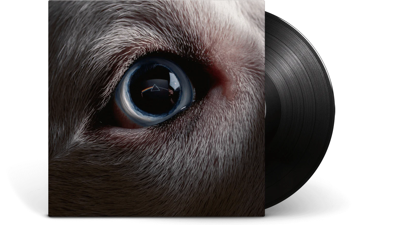 Платівка Roger Waters - The Dark Side Of The Moon Redux [2LP] 1