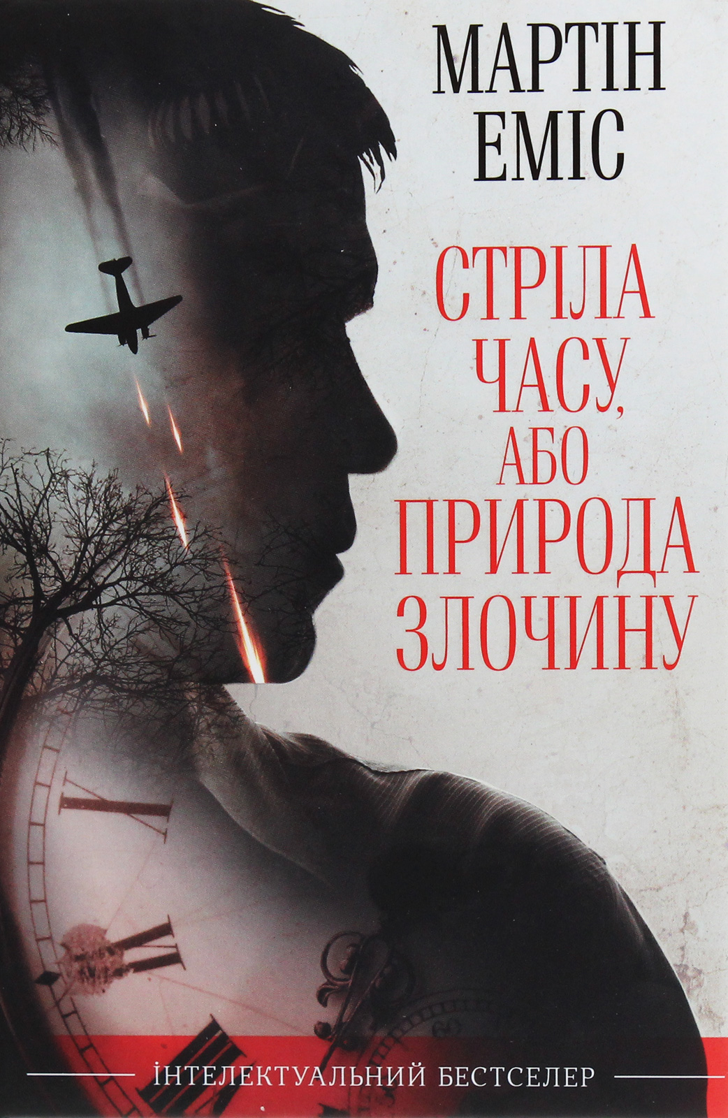 Книга "Эмис М. Стрела времени, или Природа преступления" (у) (4389)