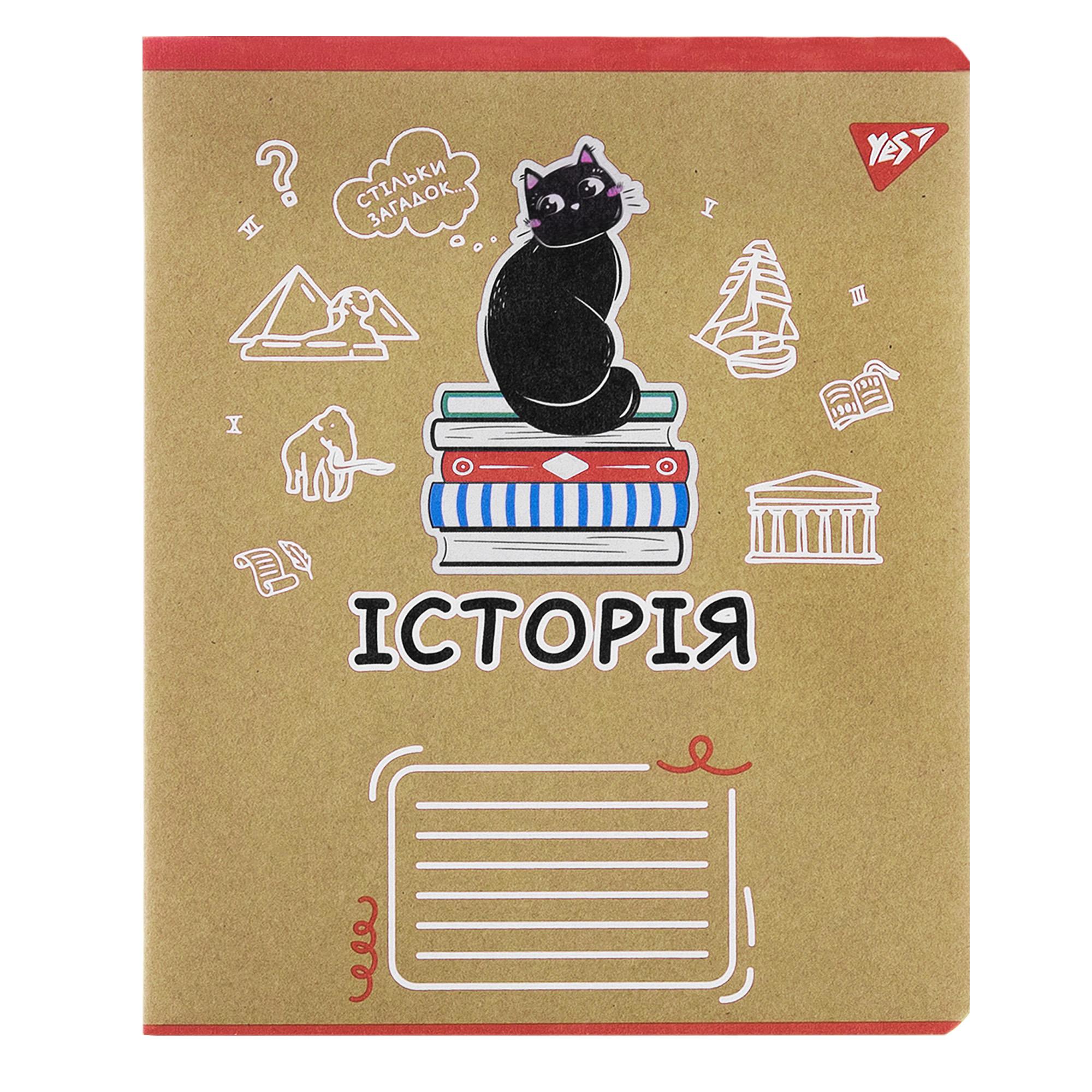 Тетрадь YES 48 кл. Предметка - История (Black cat) крафт, 767473