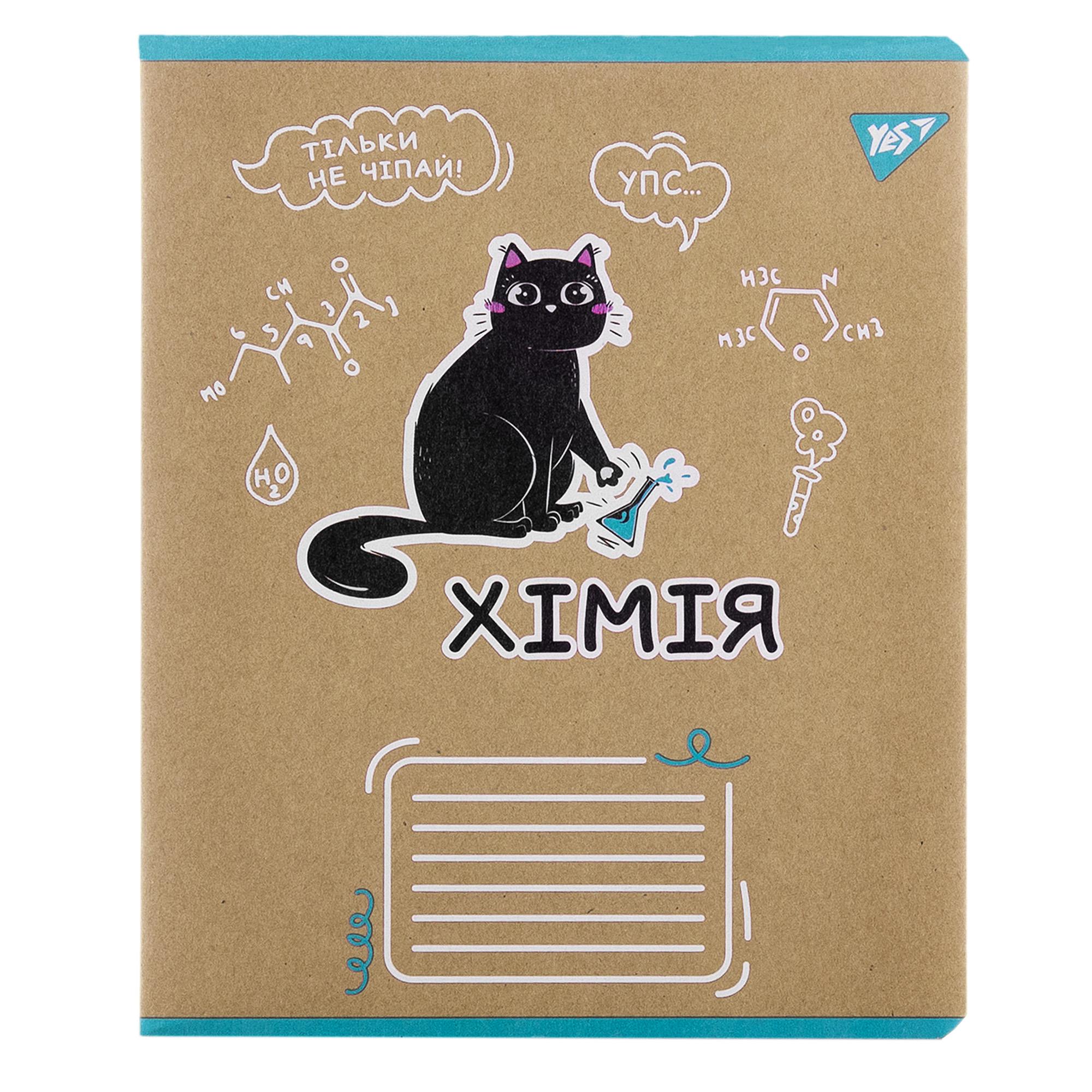 Тетрадь YES 48 кл. Предметка - Химия (Black cat) крафт, 767468