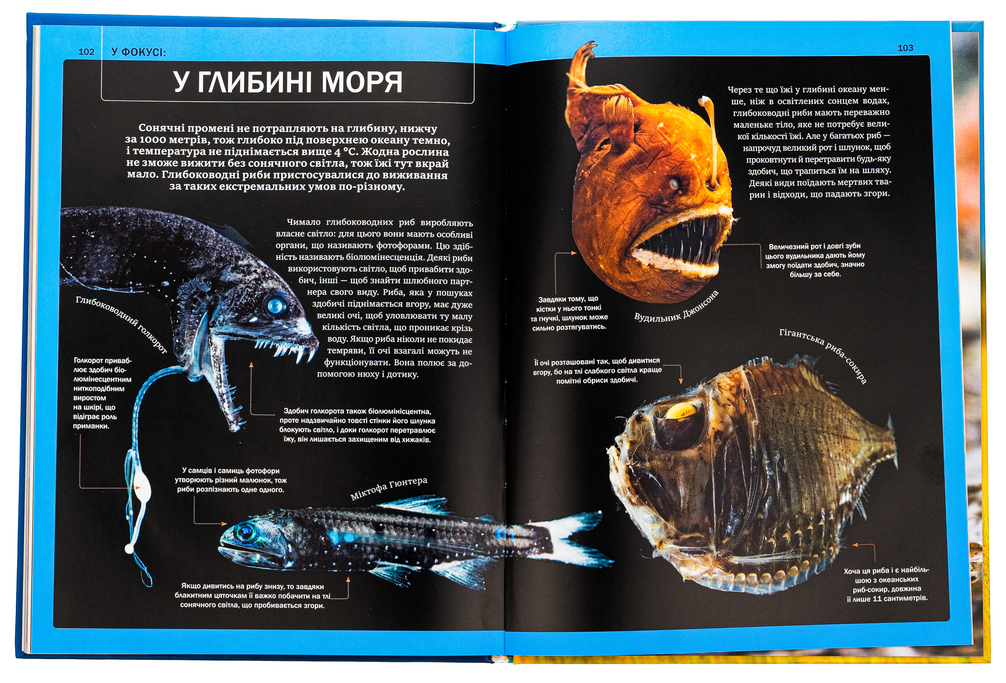 Енциклопедія "Мартін К. Велика книга тварин" (у) (4794) 4