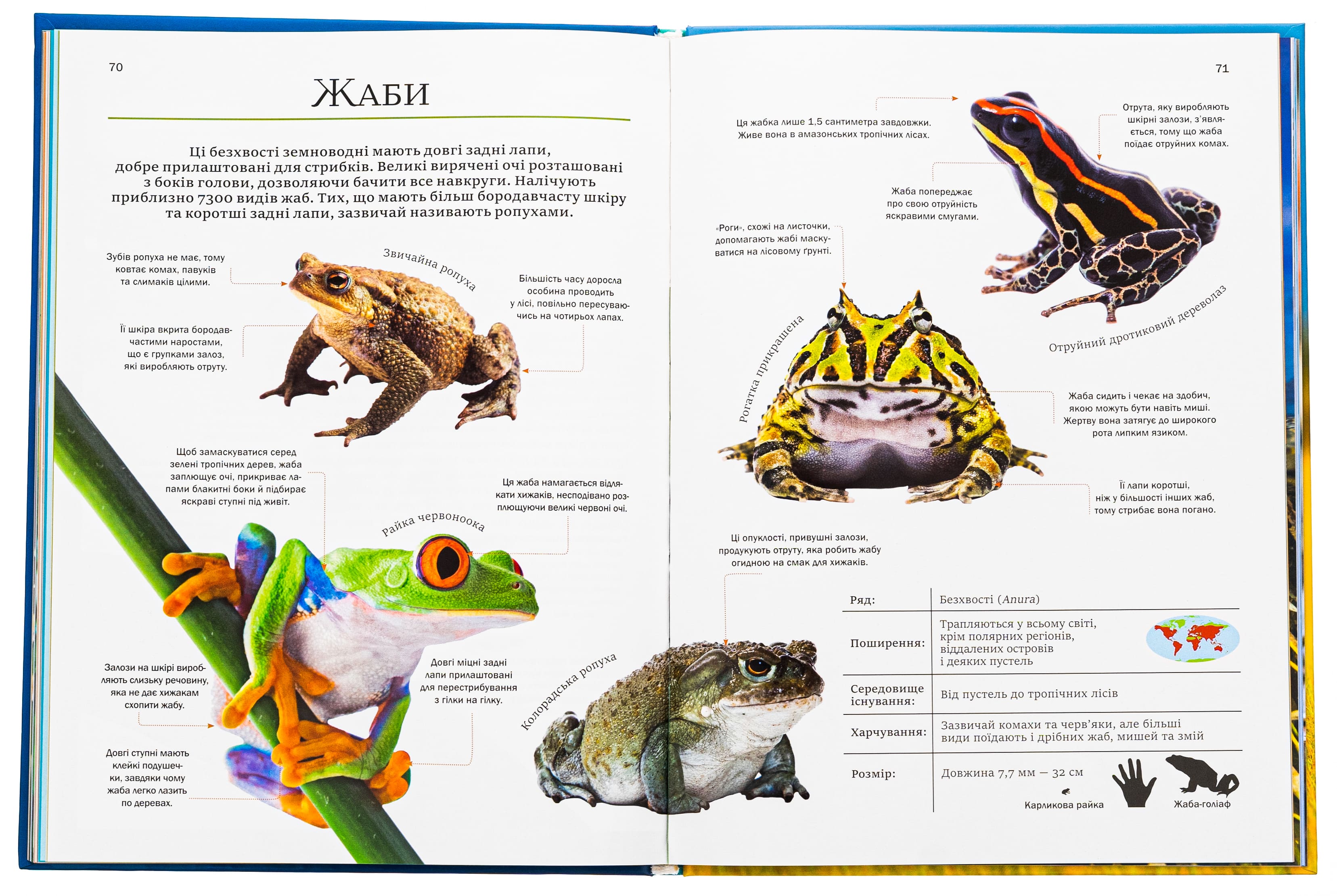 Енциклопедія "Мартін К. Велика книга тварин" (у) (4794) 5