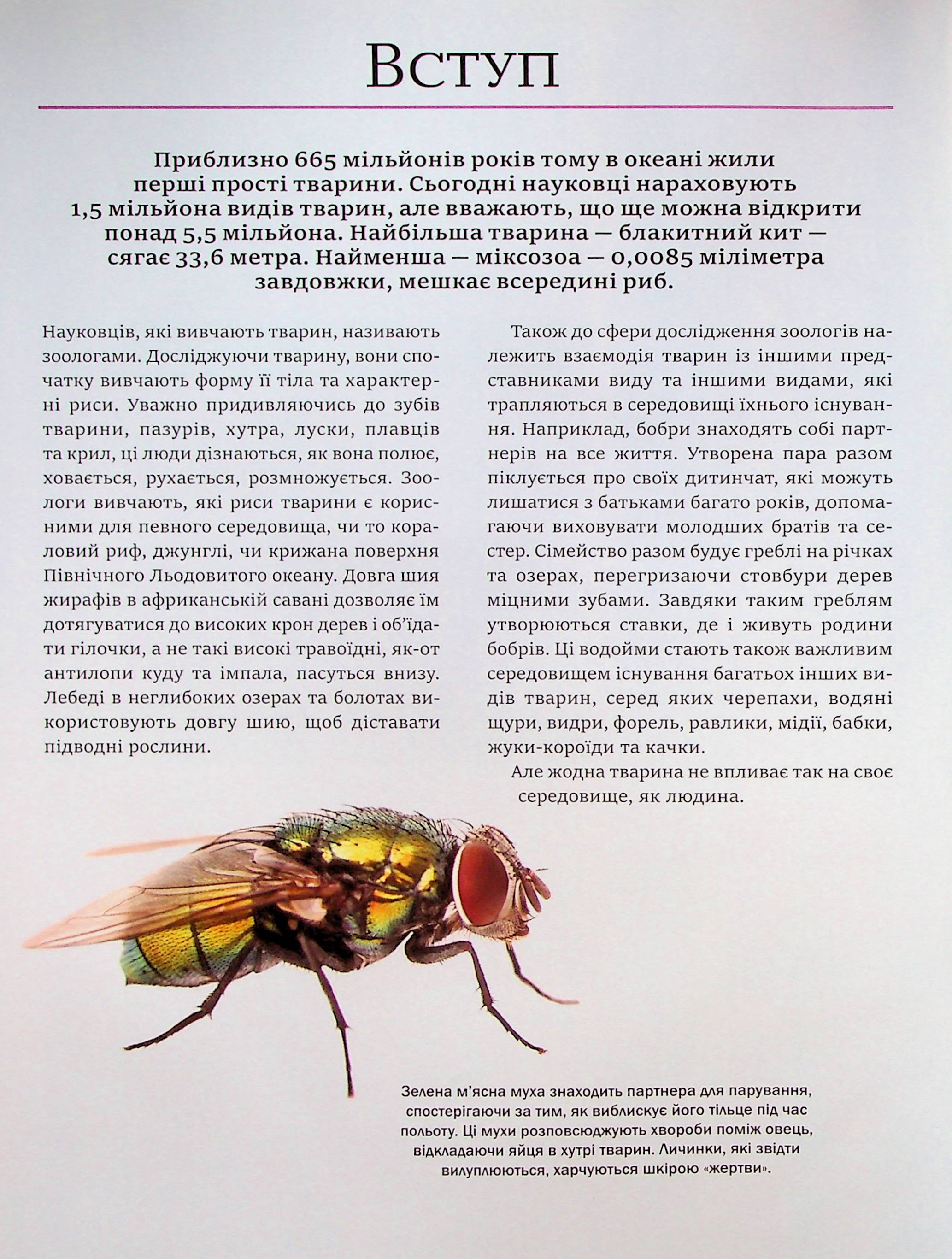 Енциклопедія "Мартін К. Велика книга тварин" (у) (4794) 7