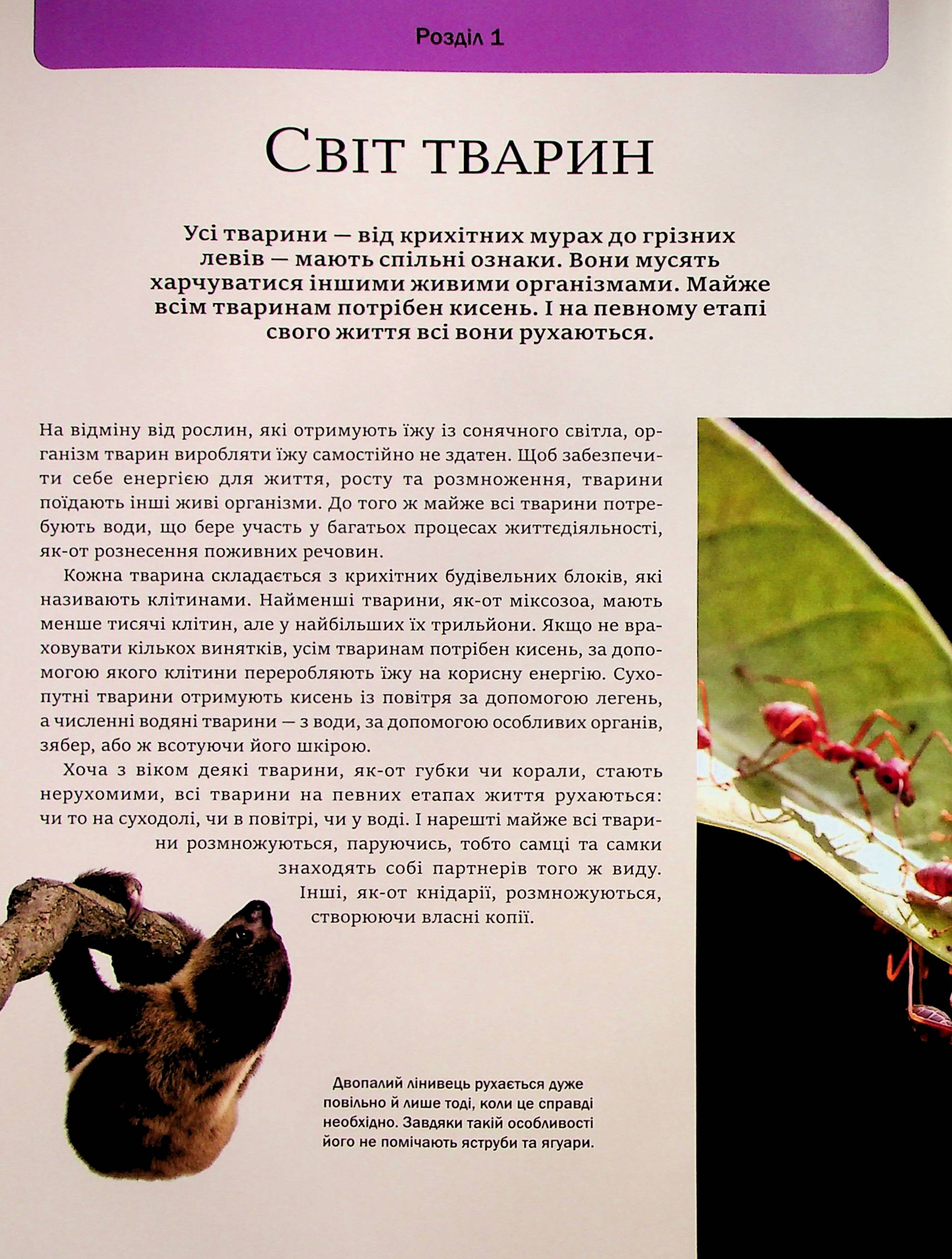 Енциклопедія "Мартін К. Велика книга тварин" (у) (4794) 9