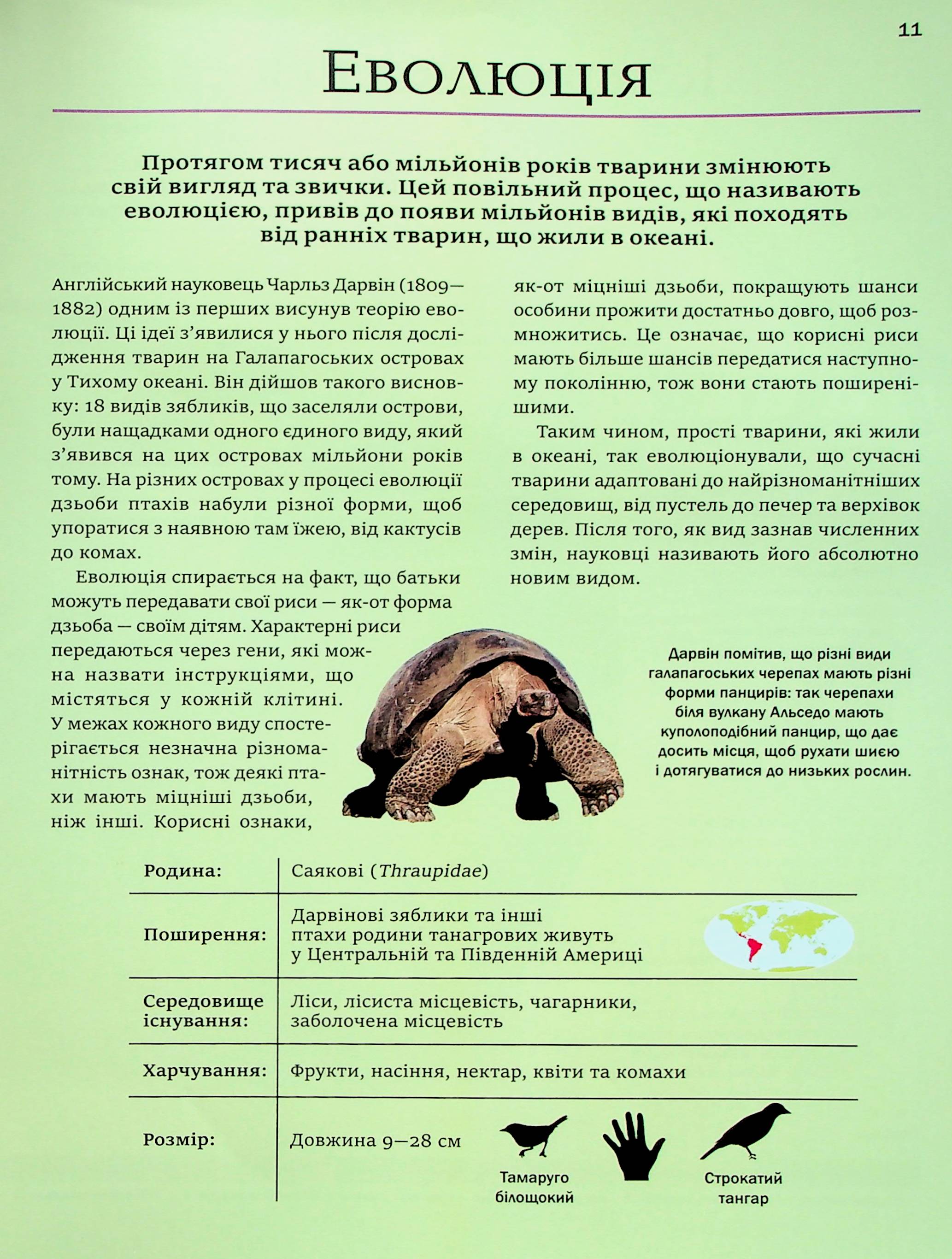 Енциклопедія "Мартін К. Велика книга тварин" (у) (4794) 14
