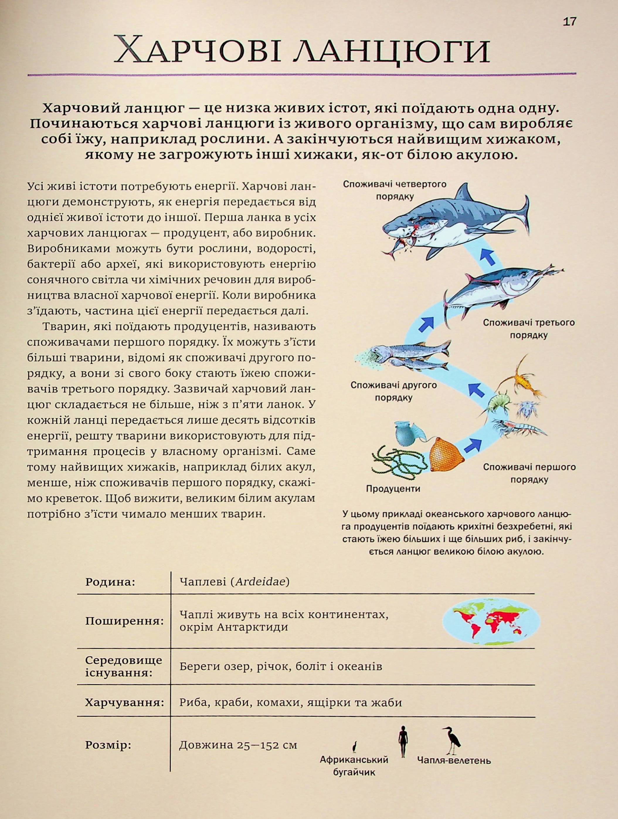 Енциклопедія "Мартін К. Велика книга тварин" (у) (4794) 20
