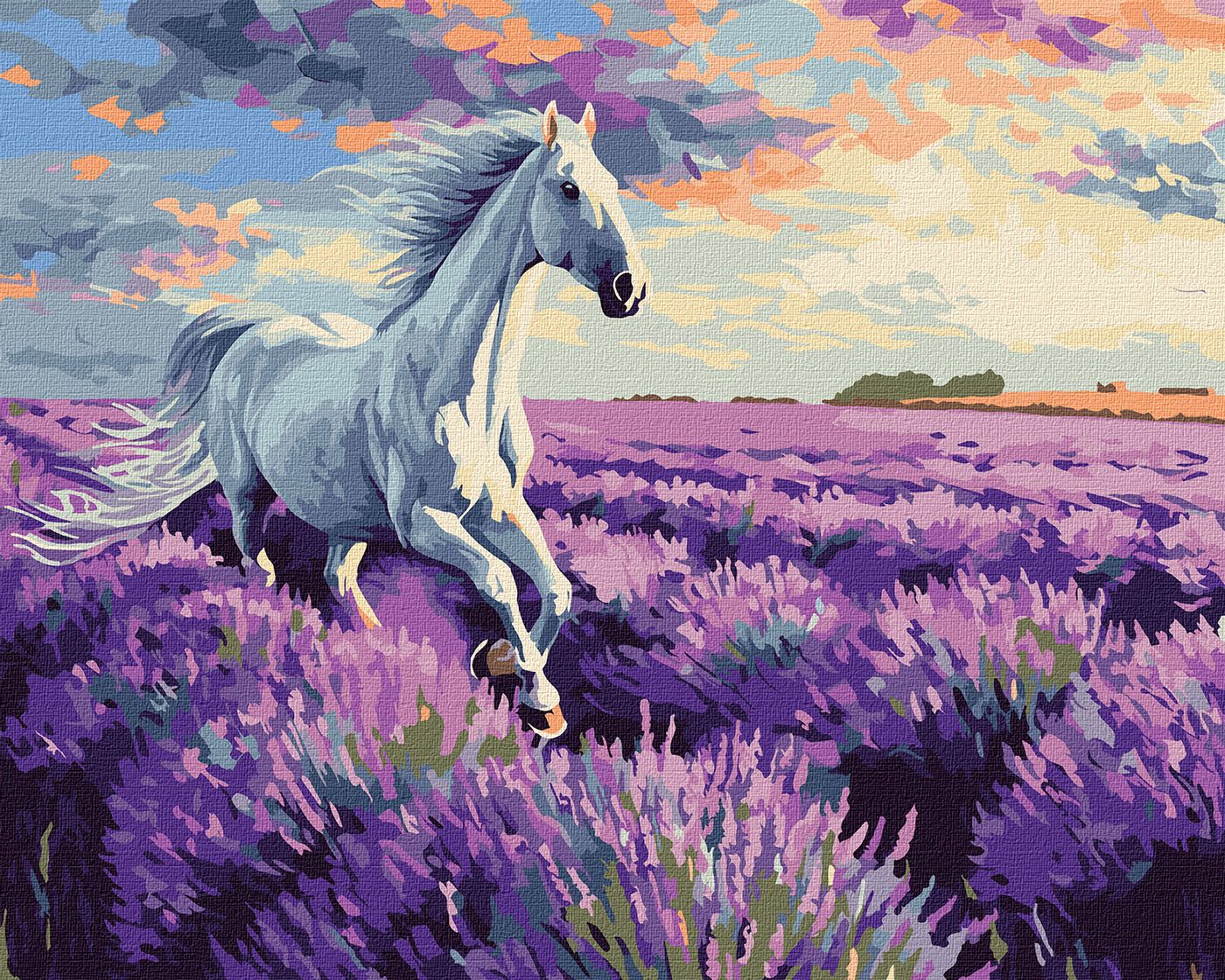 Картина по номерам 40*50 см "В лавандовых полях", KHO6659, ТМ "Ideyka"