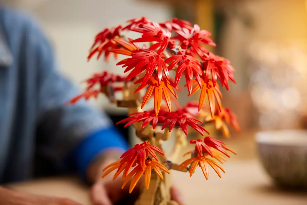 Конструктор Lego Botanicals "Бонсай з японського червоного клена", 10348 6