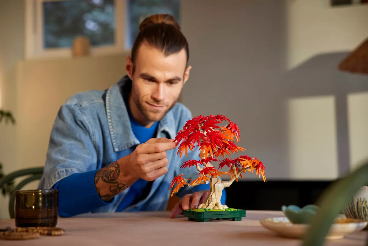 Конструктор Lego Botanicals "Бонсай з японського червоного клена", 10348 8