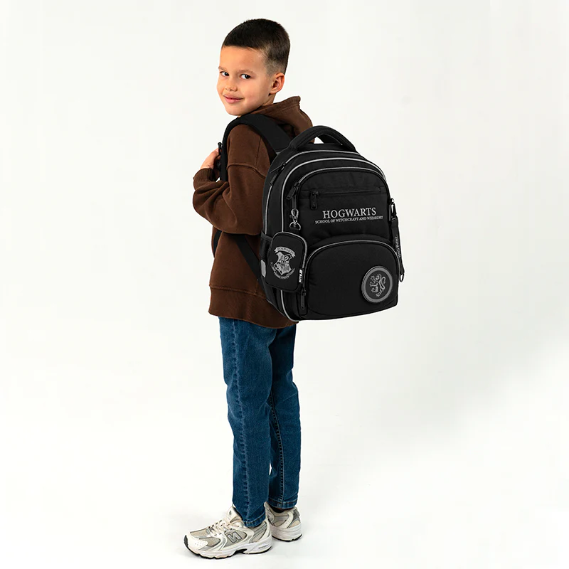 Рюкзак Kite Education 773 HP, HP25-773M 20