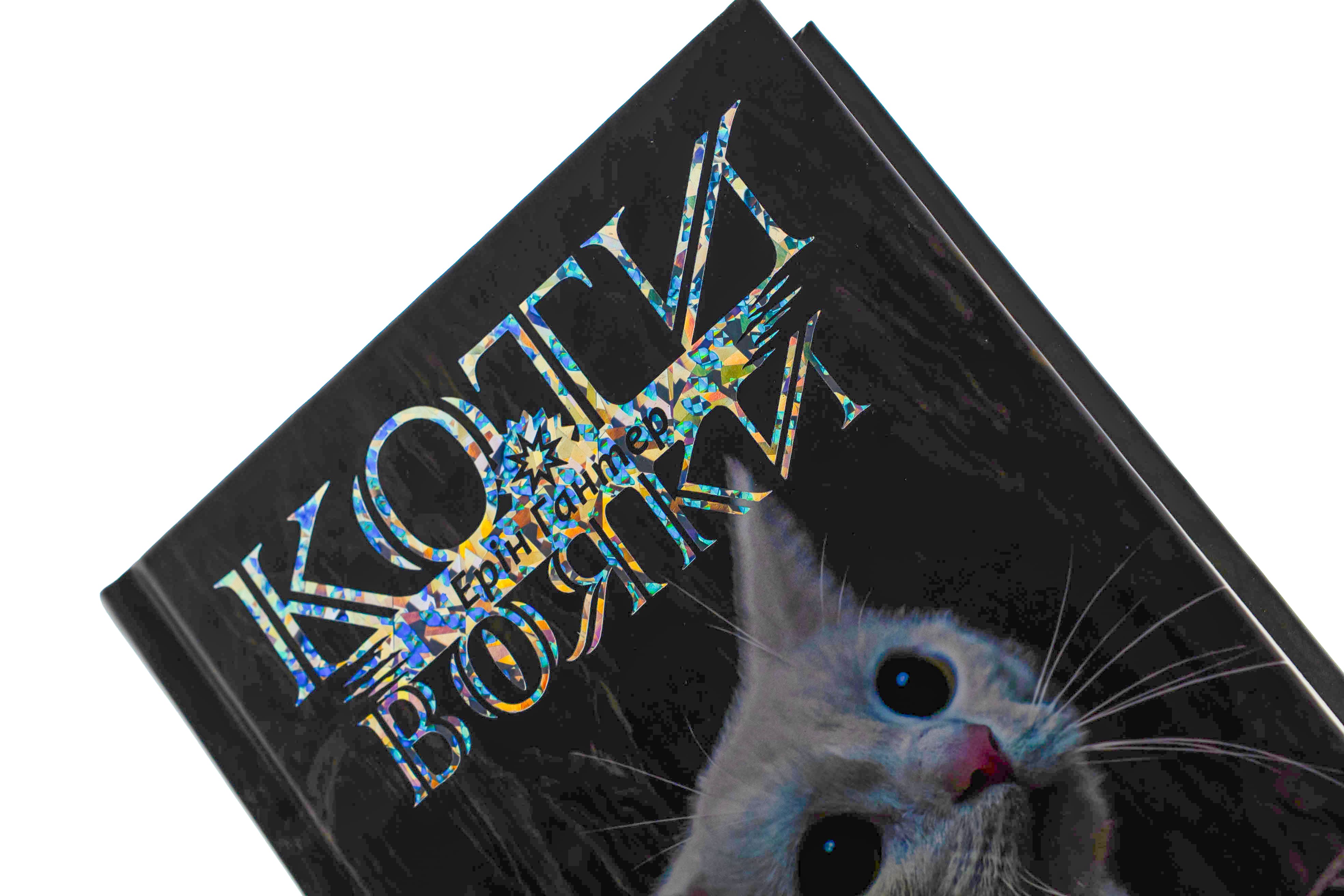 Книга "Гантер Э. Коты - воины. Знак Зорёклана. Кн.4. Знак луны" (у) (7495) 3