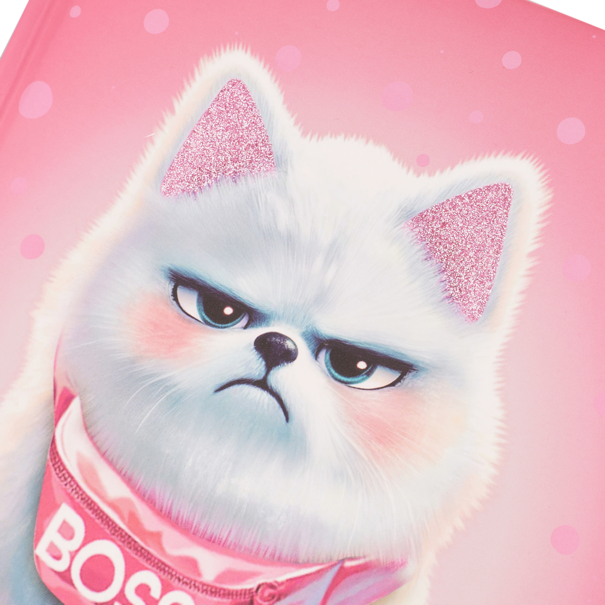 Щоденник шк. твердий "Boss" А5, 40 арк., 911629 YES 2