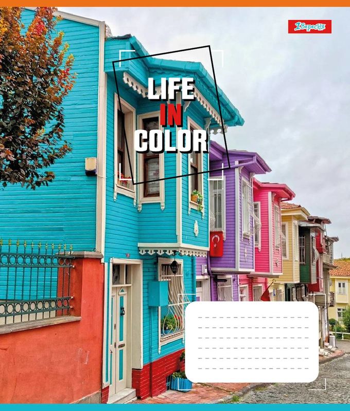 Зошит 24 лін. 1В Life in colors, 767304 3