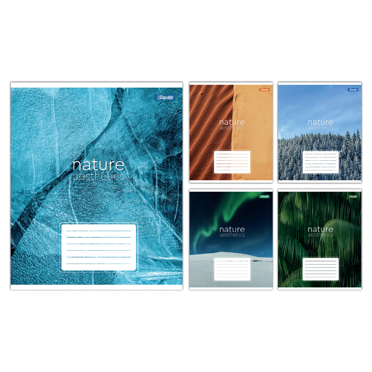 Зошит 36 кл. 1В "Nature aesthetics", 768102