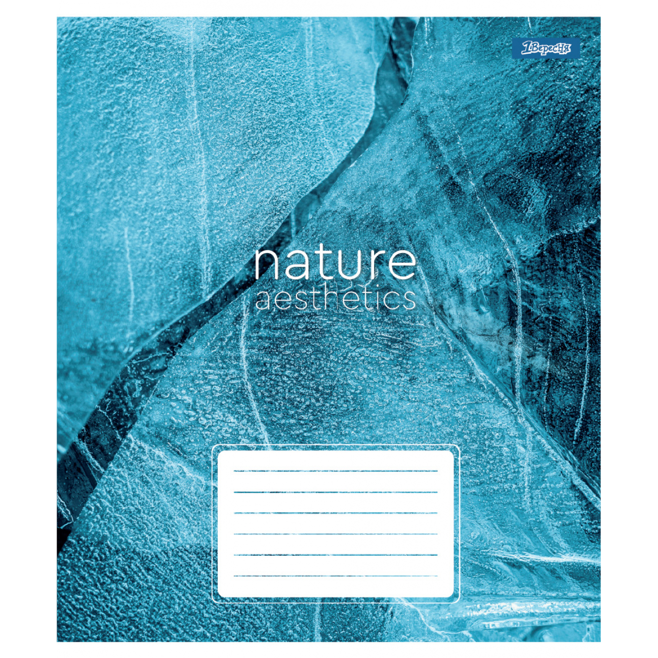 Зошит 36 кл. 1В "Nature aesthetics", 768102 5