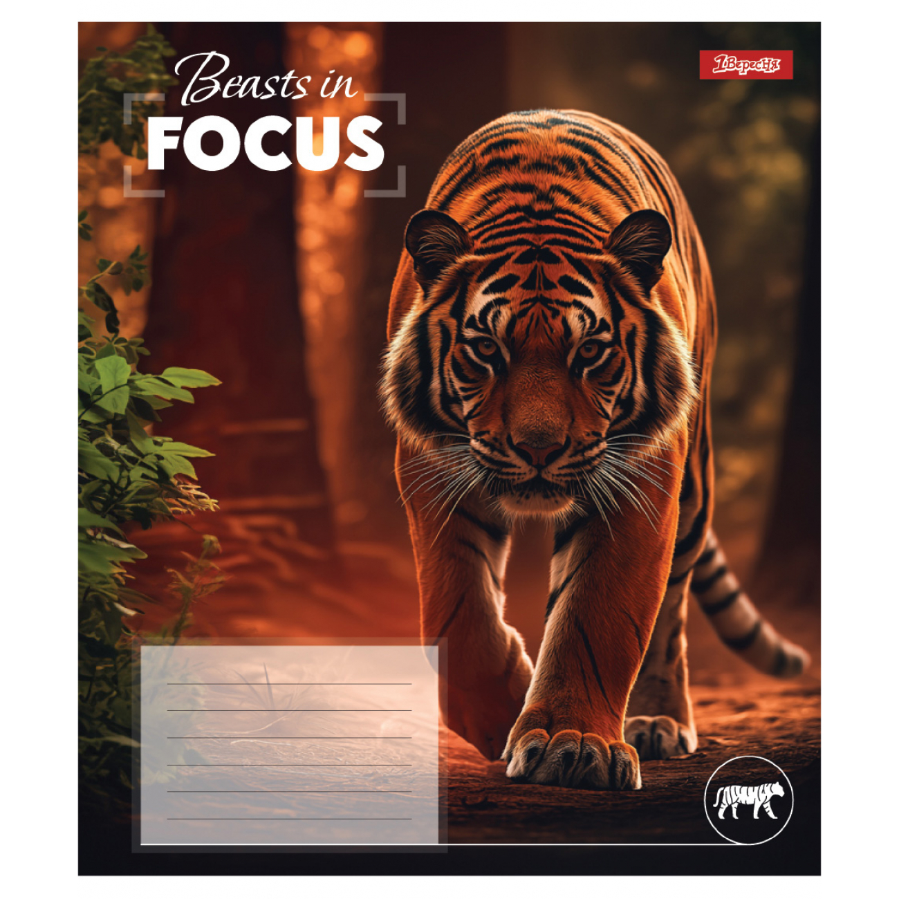 Зошит 48 кл. 1В "Beasts in Focus", 768060 1