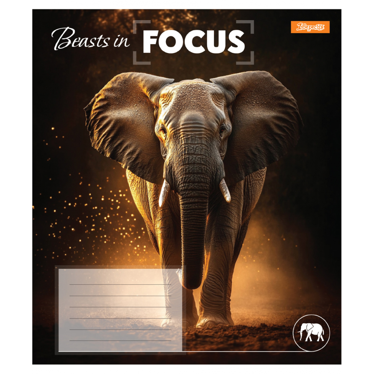 Зошит 48 кл. 1В "Beasts in Focus", 768060 4