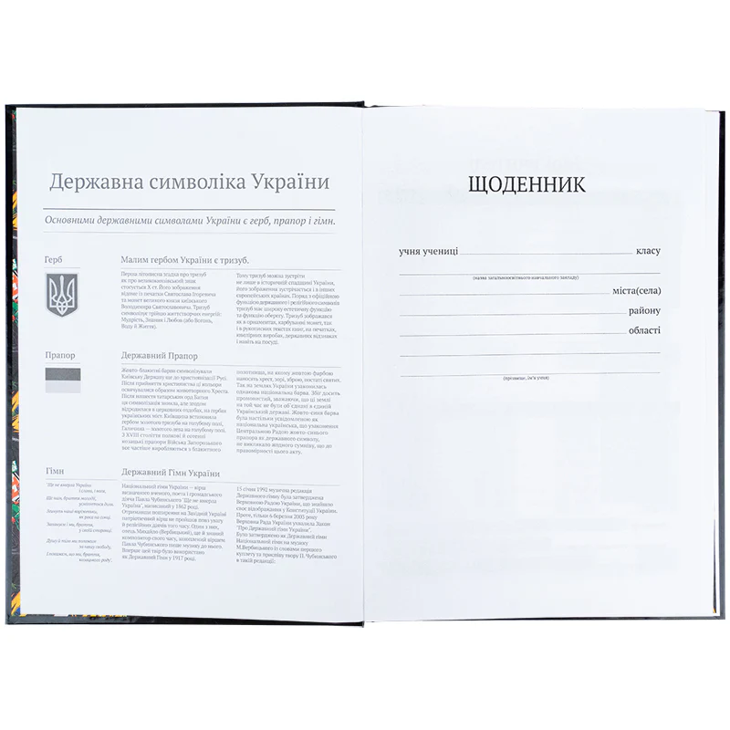 Щоденник шкільний, тверда обкл, NT, NT25-262 3