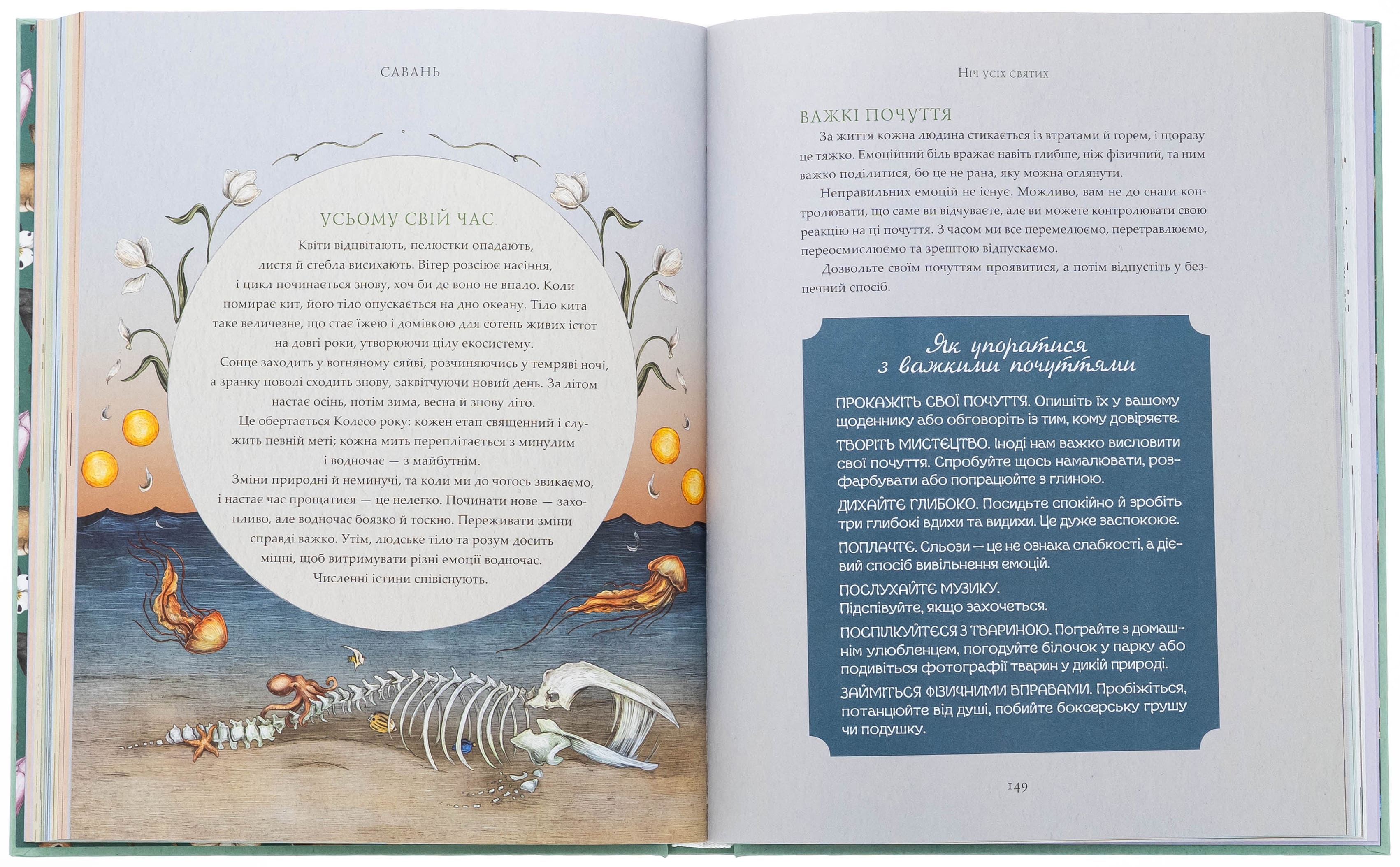 Книга "Колесо року: Ілюстрований путівник ритмами природи. Дж. Ру, Ф. Кук" (у) (5234) 4