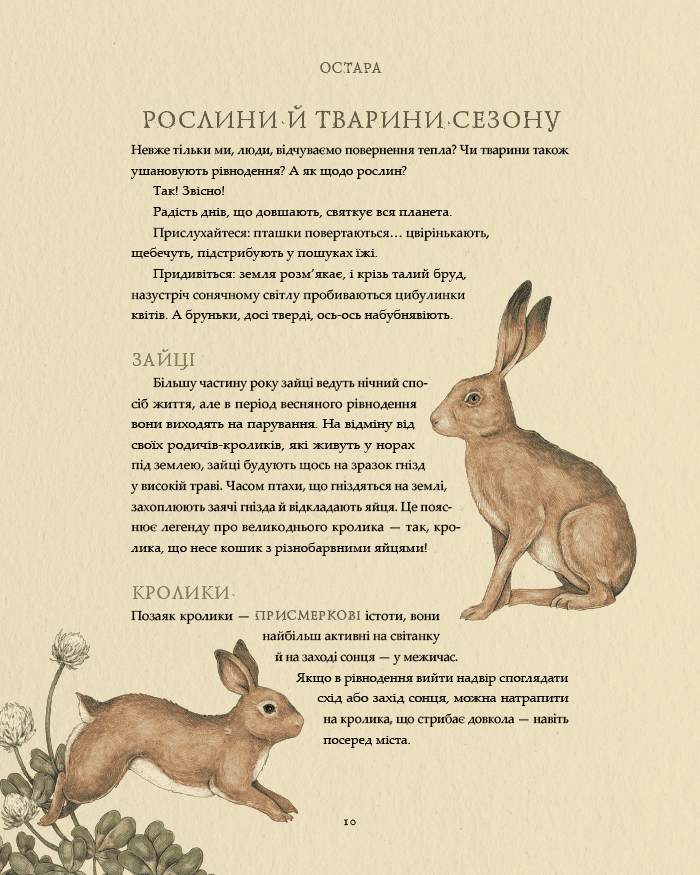 Книга "Колесо року: Ілюстрований путівник ритмами природи. Дж. Ру, Ф. Кук" (у) (5234) 10