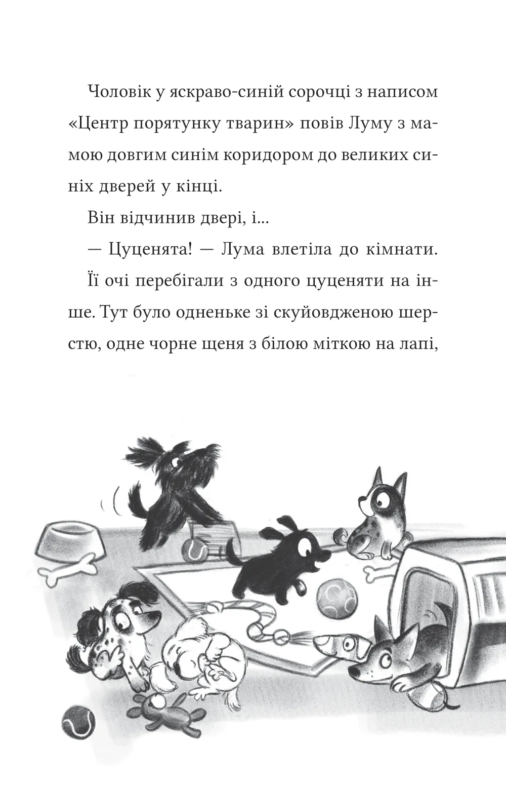 Книга "Мохаммед Л. Лума и ее домашний дракон" (у) (7511) 11