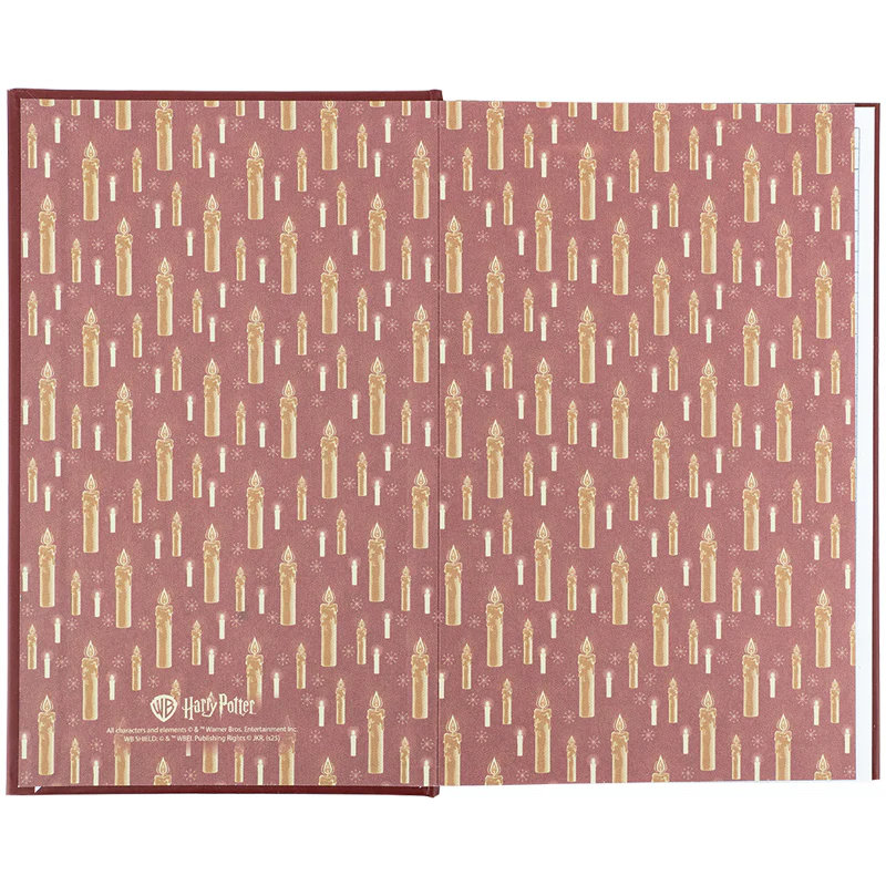 Книга записна тверда обкл. А6, 80арк. кл. HP, HP25-199 2