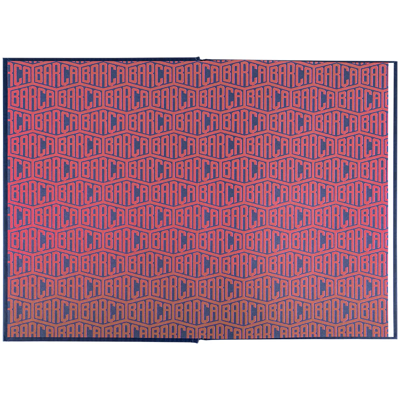 Щоденник шкільний, тверда обкл, BC, BC25-262 2